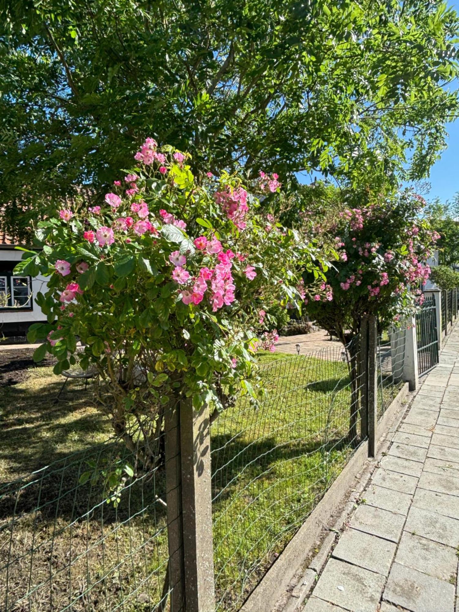 Het Relax Hoeveke Oostende Exterior foto